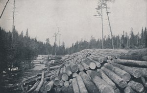 Tømmerarbejde, 1924 af Unbekannt