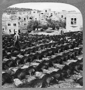 Fremstilling af vinflasker, Hebron, c1900 af Unbekannt