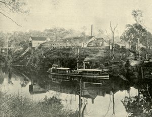 Meat Works, nær Grafton, New South Wales, 1901. af Unbekannt