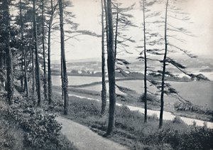 Menai - Fra Bangor Wood, 1895 af Unbekannt