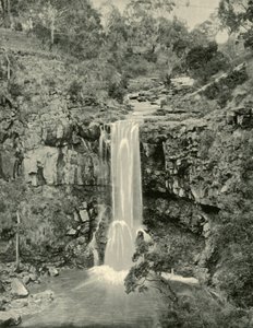 Moorabool Falls, Victoria, 1901. af Unbekannt