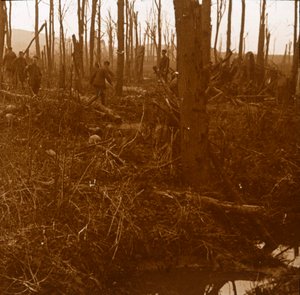 Mount Kemmel, Flandern, Belgien, c1914-c1918 af Unbekannt