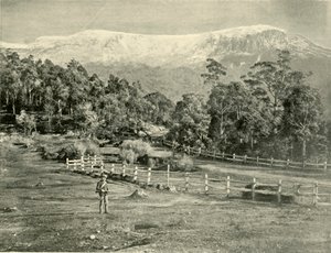 Mount Wellington, fra Huon Road, 1901. af Unbekannt