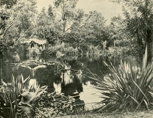 Mr. Ryans Gardens, Mount Macedon, Victoria, 1901. af Unbekannt