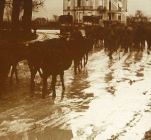 Muldyrtog med forsyninger, Verdun, Nordfrankrig, c1914-c1918 af Unbekannt