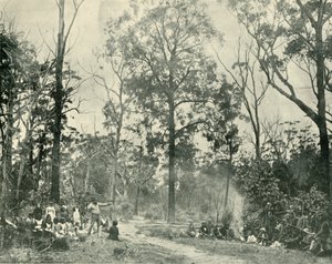 Native Sports, Lake Tyers, 1901. af Unbekannt