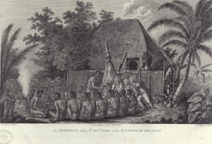 Indfødte fra Sandwichøerne, Hawaii, slagter svin før Captain Cook, c1778 af Unbekannt