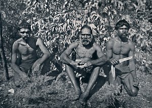 New South Wales Aborigines - King Billy and his A.D.C.s, c1900. af Unbekannt