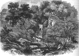 New Zealand Landskab, c1880 af Unbekannt
