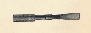 Husk Ray d, 1895. af Unbekannt