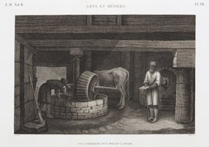Olier, fedtstoffer og voks Oliemølle, Egypten, ca 1798 af Unbekannt