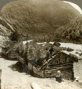 Gamle bjælkehuse i Bratslandsdal, med træer, der vokser på græstæppede tage, Norge, c1905. af Unbekannt