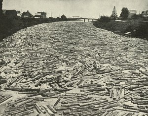 På vej til savværkerne, c1948. af Unbekannt