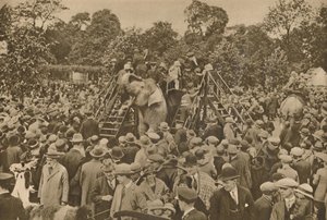Et af tegnene på vores civilisation: velassorterede zoologiske haver til at glæde de nysgerrige, c193 af Unbekannt