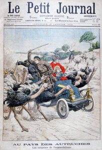 Strudse angriber en bil, Californien, USA, 1904 af Unbekannt