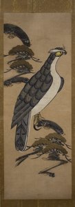 Otsu-e af Falcon on a Pine Tree, 1700-tallet. af Unbekannt