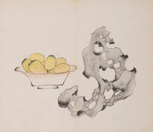 Side fra shi Z tiger Z også. af Unbekannt