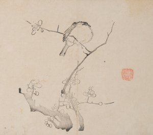 Side fra shi Z Hu Z også Shu Huapu. af Unbekannt