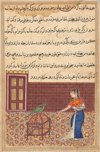 Side fra Tales of a Parrot Tuti-nama: Enoghalvtreds nat: Papegøjen henvender sig til Khujasta..., ca. 156 af Unbekannt