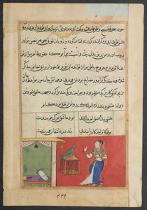 Side fra Tales of a Parrot Tuti-nama: Syvogfyrre nat: Papegøjen henvender sig til Khujasta..., c156 af Unbekannt