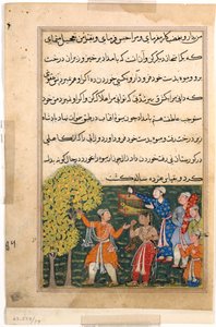 Side fra Tales of a Parrot Tuti-nama: Niende nat: Kongen plukker frugt fra træet..., ca. 156 af Unbekannt