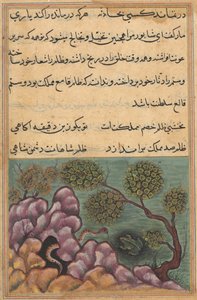 Side fra Tales of a Parrot Tuti-nama: Seksogtyvende nat: Den detroniserede frø..., ca. 1560. af Unbekannt