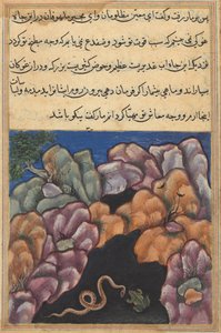 Side fra Tales of a Parrot Tuti-nama: Seksogtyvende nat: Slangen kommer ind..., ca. 1560. af Unbekannt