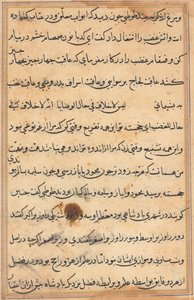 Side fra Tales of a Parrot Tuti-nama: tekstside, ca. 1560. af Unbekannt