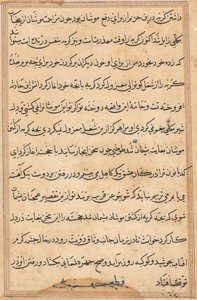 Side fra Tales of a Parrot Tuti-nama: tekstside, ca. 1560. af Unbekannt