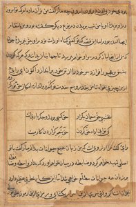 Side fra Tales of a Parrot Tuti-nama: tekstside, ca. 1560. af Unbekannt