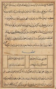Side fra Tales of a Parrot Tuti-nama: tekstside, ca. 1560. af Unbekannt