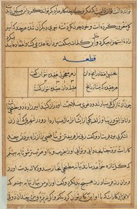 Side fra Tales of a Parrot Tuti-nama: tekstside, ca. 1560. af Unbekannt
