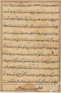 Side fra Tales of a Parrot Tuti-nama: tekstside, ca. 1560. af Unbekannt