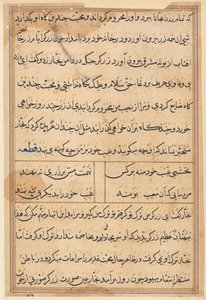 Side fra Tales of a Parrot Tuti-nama: tekstside, ca. 1560. af Unbekannt
