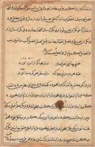 Side fra Tales of a Parrot Tuti-nama: tekstside, ca. 1560. af Unbekannt