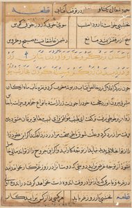 Side fra Tales of a Parrot Tuti-nama: tekstside, ca. 1560. af Unbekannt