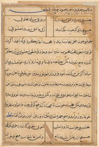 Side fra Tales of a Parrot Tuti-nama: tekstside, ca. 1560. af Unbekannt