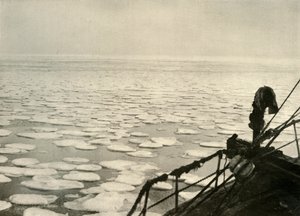 Pandekageis i Rosshavet, c1908, 1909. af Unbekannt