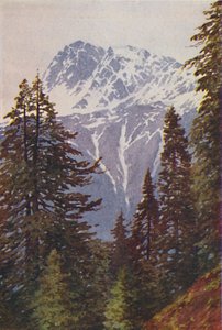 Top i Himalaya, 1924 af Unbekannt