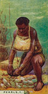 Pearls 1. Native Diver at Work, Ceylon, 1928 af Unbekannt