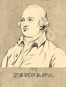 Vimpel, 1726-1798, 1830. af Unbekannt
