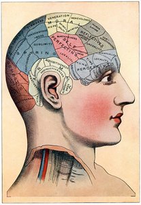 Frenologidiagram, der viser formodede aktivitetsområder i hjernen, c1920 af Unbekannt