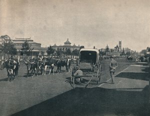 Pietermaritzburg, ca. 1900. af Unbekannt
