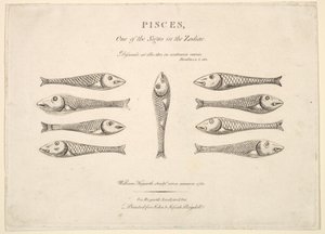 Fiskene: Hogarths Quadrille Fish, ca. 1730. af Unbekannt