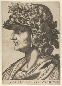 Plade 4: Caius i profil mod venstre, fra 