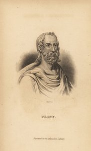 Plinius den Ældre, Gaius Plinius Secundus, romersk forfatter, naturforsker og naturfilosof, AD23-79 af Unbekannt
