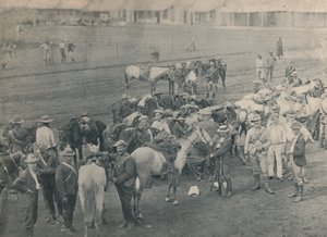 Blikkenslager hest, c1900. af Unbekannt