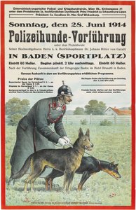 Politihundedemonstration i Baden, 1914. af Unbekannt