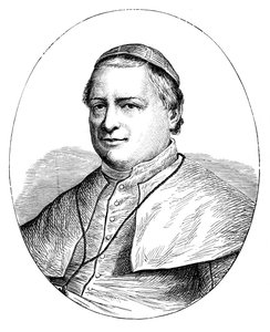 Pave Pius IX, 1792-1878 af Unbekannt