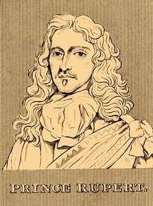 Prins Rupert, 1619-1682, 1830. af Unbekannt